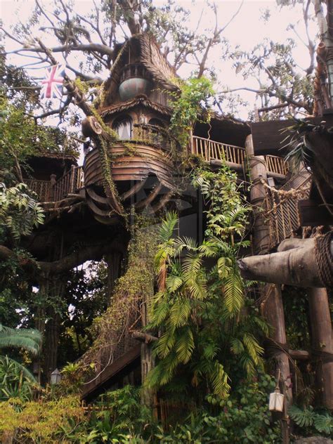 Discover the Hidden Charms of Tree House 27